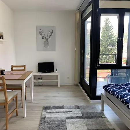 아파트 Kleines Einzimmer-apartment 23 *