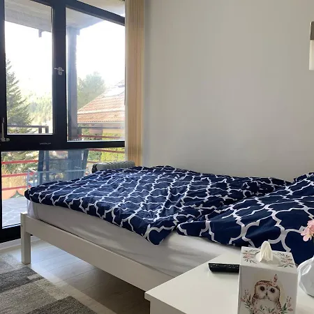 Apartment Kleines Einzimmer-apartment 23 Bad Wildbad